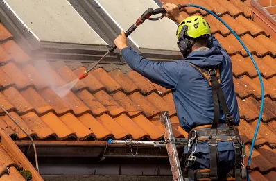 Démoussage et hydrofuge de toiture à la Bruyère